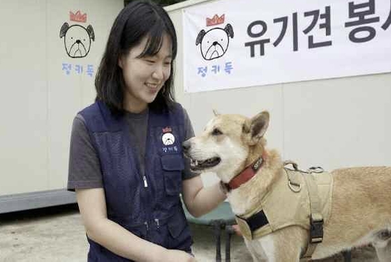 유기견 봉사 활동